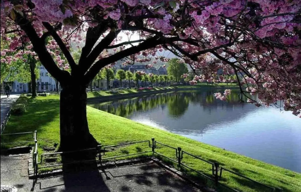 City Centrum Villa Apartments Bergen 0*,  Norway